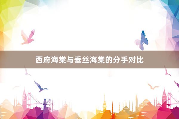 西府海棠与垂丝海棠的分手对比