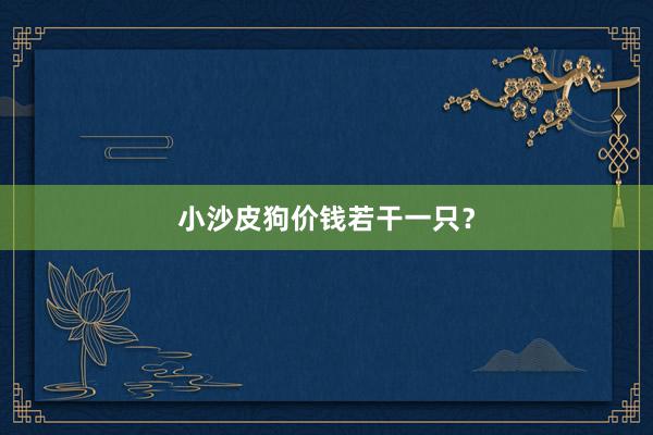 小沙皮狗价钱若干一只？