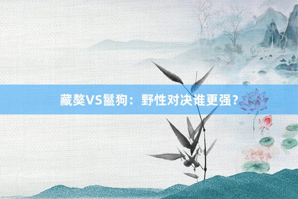 藏獒VS鬣狗：野性对决谁更强？